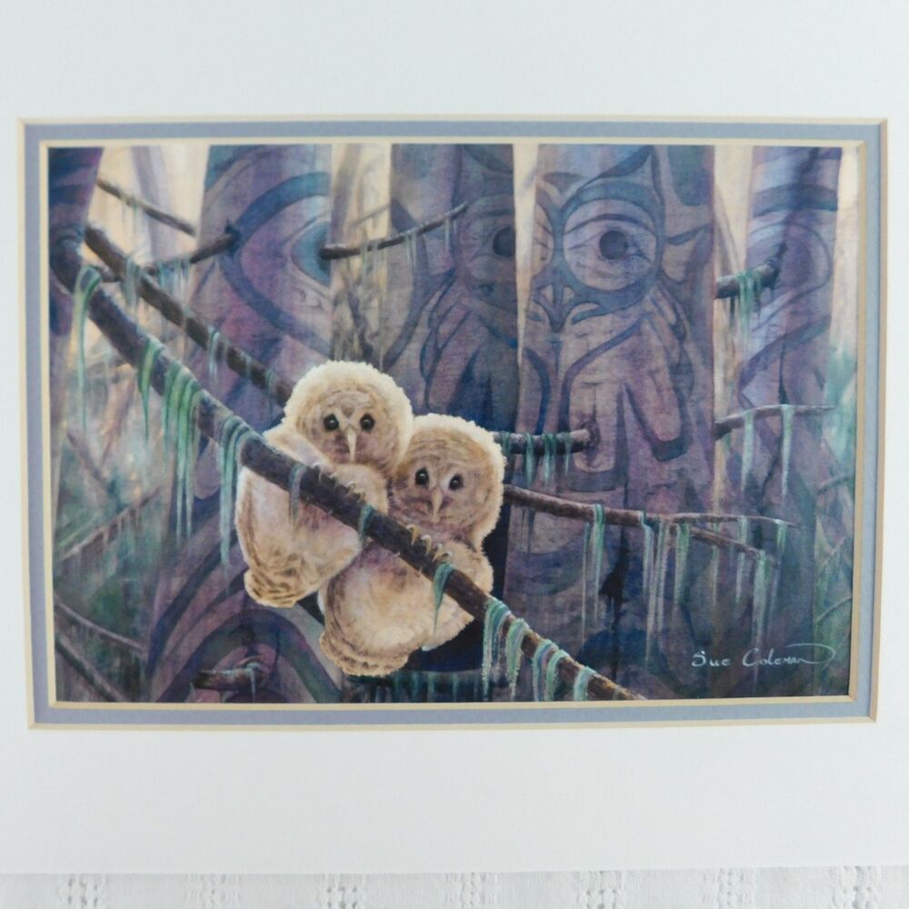 Sue Coleman Owl Print Pacific Museum & Art NW Coastal Indian, Matted 9x12 EUC